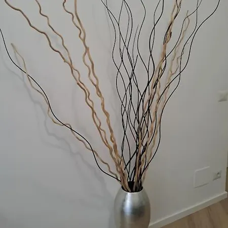 Lägenhet Domus 95 Rom