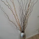 Apartment Domus 95 Rome